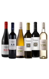 6 Bottle Case Terra D'Alter