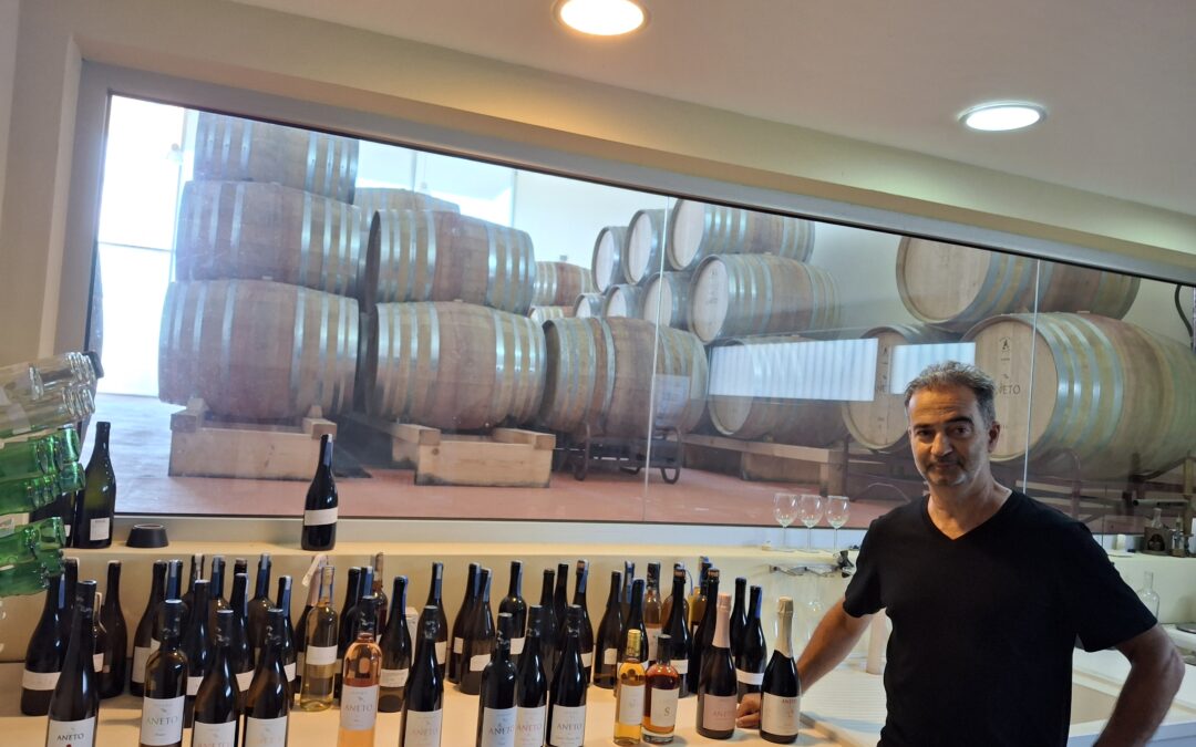 Aneto Wines Revisited